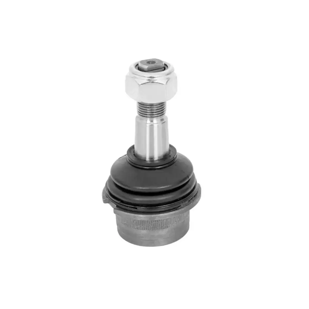 211405371A ROTIL ALT TRANSPORTER II EDGE