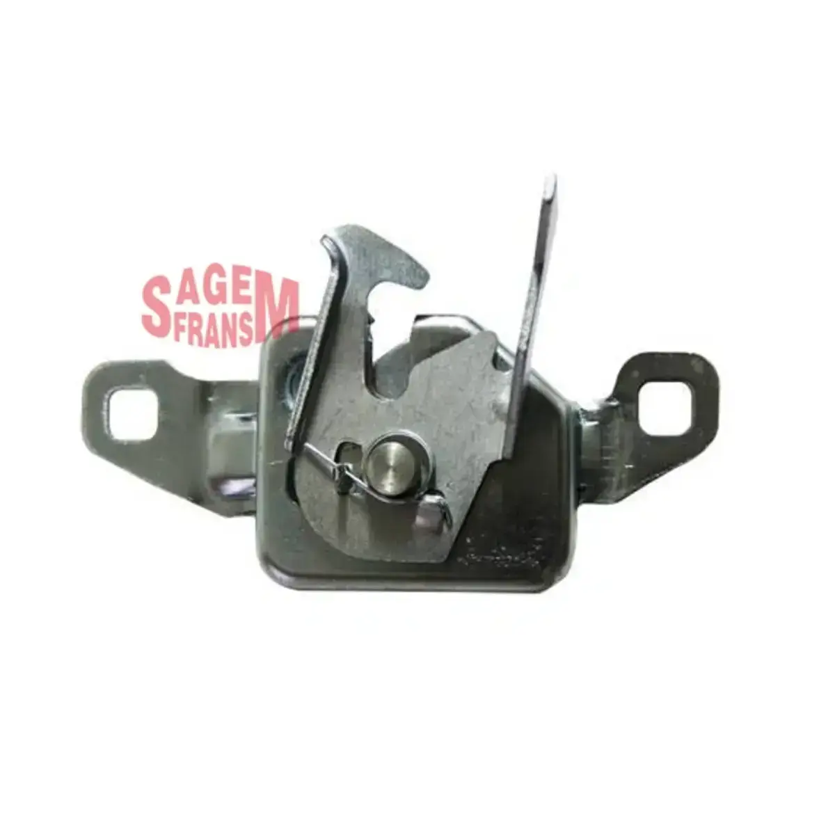 6001547332 KAPUT KILIDI LOGAN SAGEMFRANS