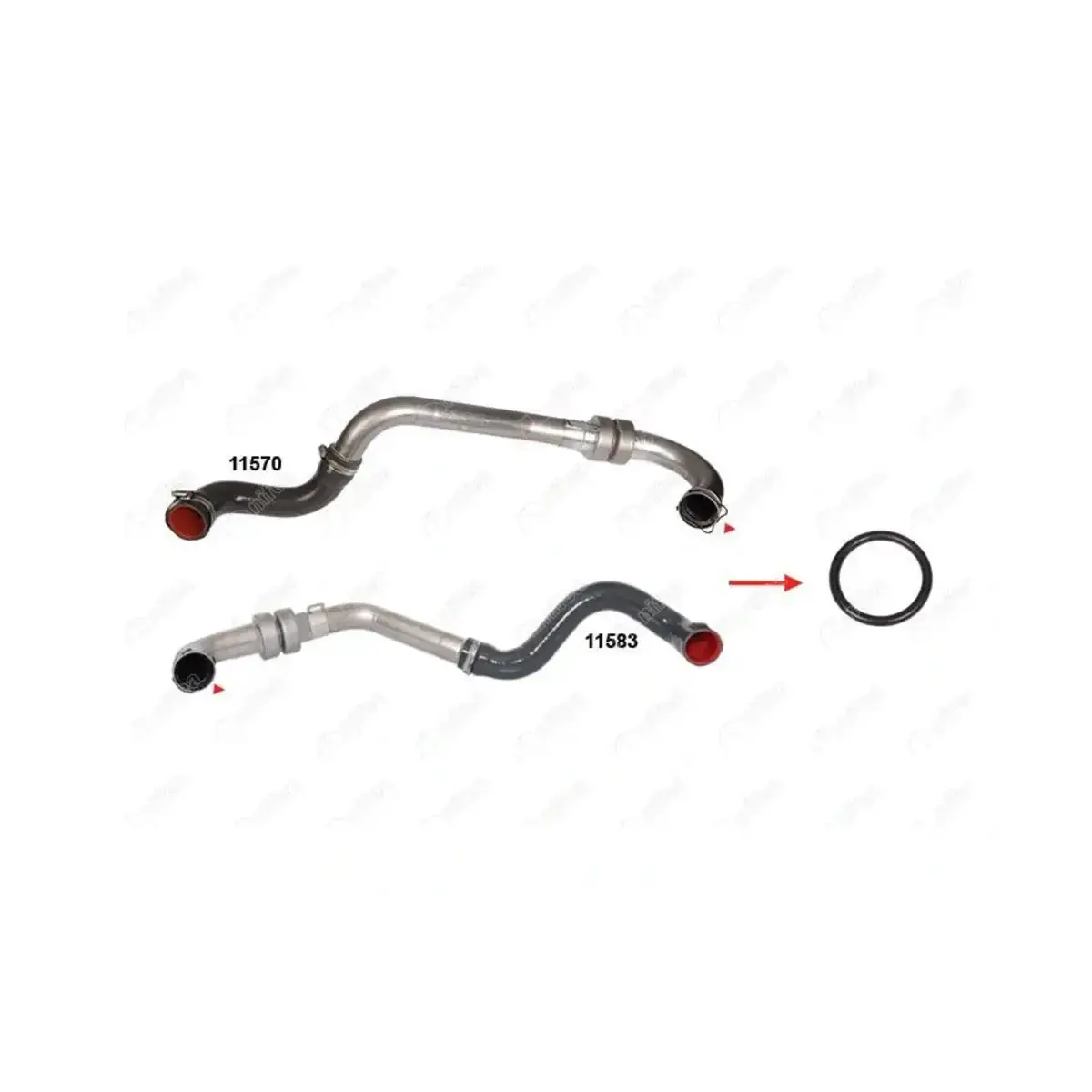 8200306925 8200200000 TURBO BORUSU CONTASI NIFEA 8200306925 8200200000 TURBO BORUSU CONTASI NIFEA
