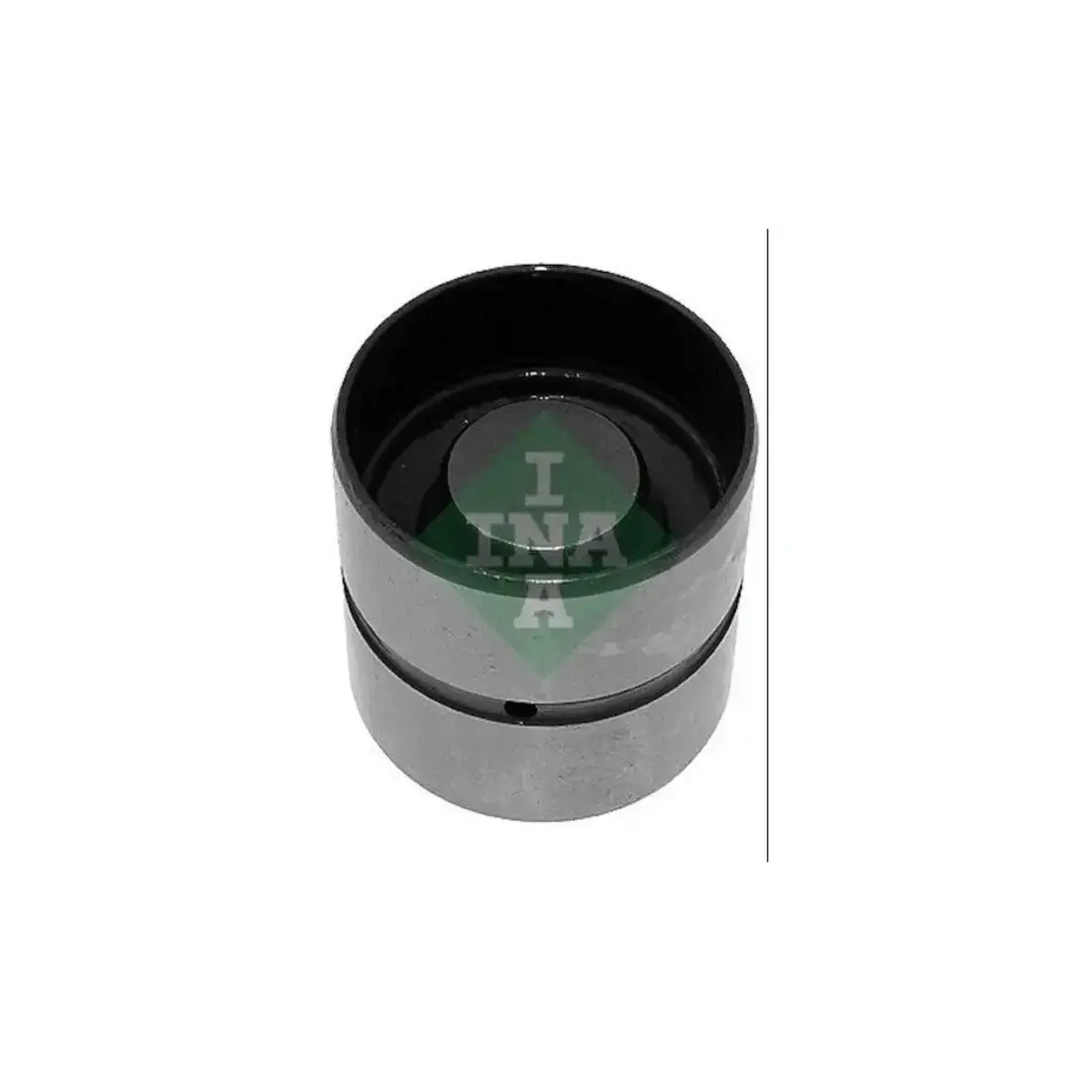 058109309F SUPAP FINCANI EMME PASSAT A4 A6 1.8 1.8 T (AEB-APU-ADR-AWT) INA