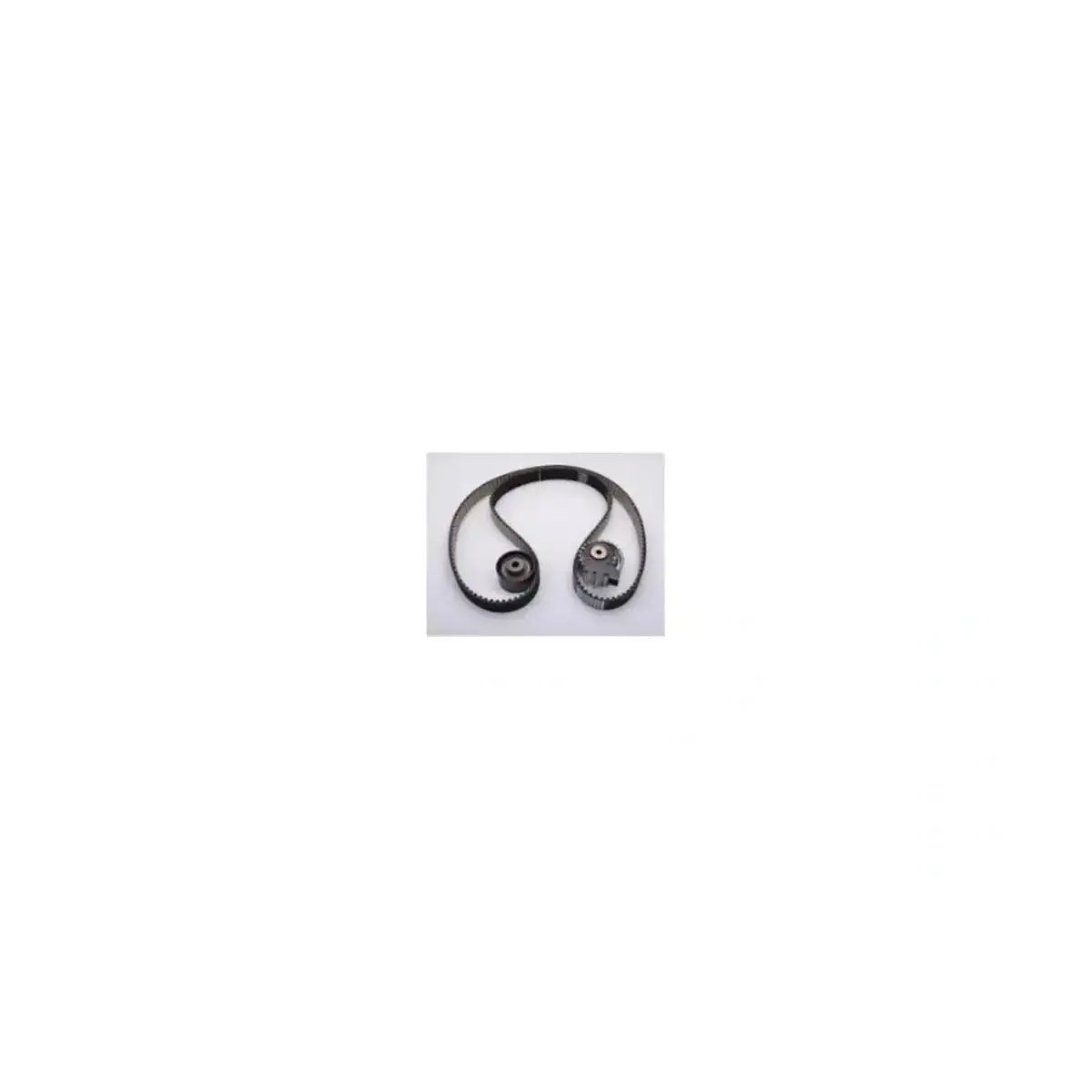 6001073301 EKSANTRIK KAYIS KITI DOBLO LINEA 1.6 EGEA 120 BG OPAR 6001073301 EKSANTRIK KAYIS KITI DOBLO LINEA 1.6 EGEA 120 BG OPAR