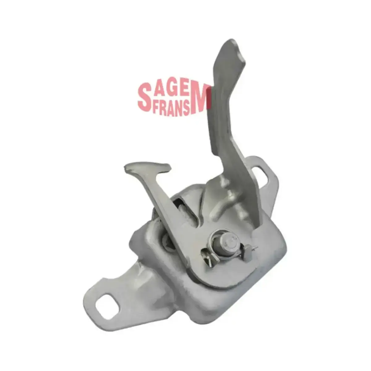 656010017R KAPUT KILIDI DUSTER 10> SAGEMFRANS