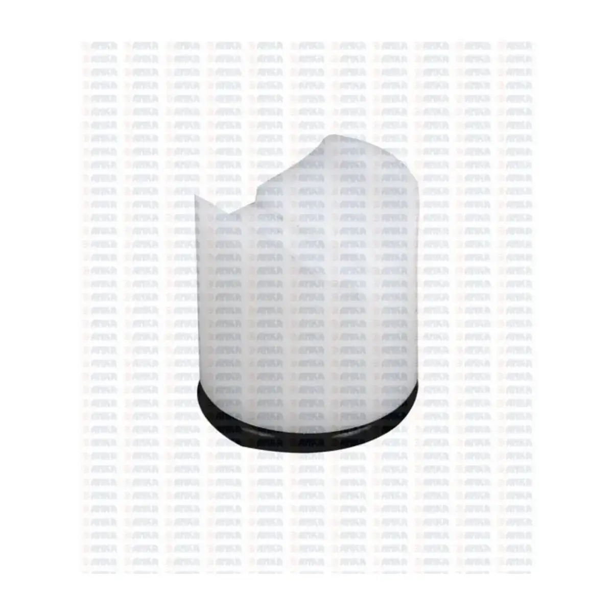 4354388 DIREKSIYON BASKI KEPI M131 DKS ANKA