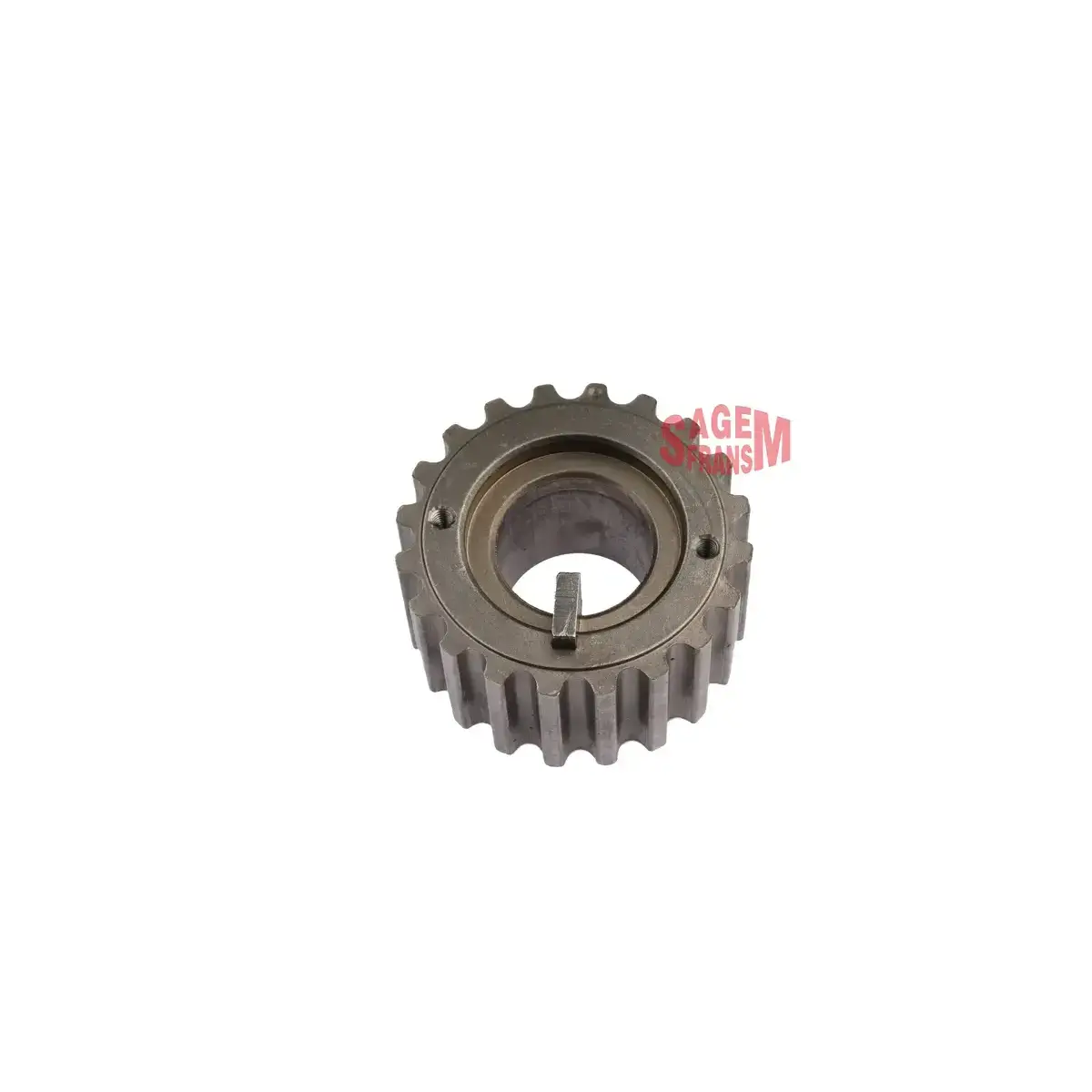 8200313627 EKSANTRIK DISLISI KUCUK CLIO KANGO 1.5 DCI K9K (ALT KRANK) SAGEMFRANS