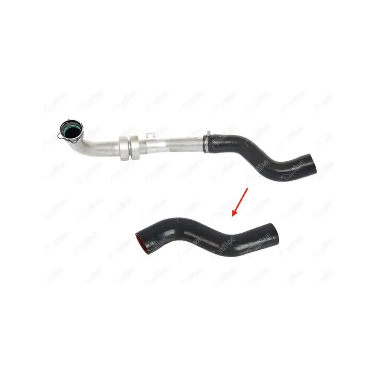 8200775694 TURBO HORTUMU KANGO II 1.5DCI 85-105 HP (KWOB) (MET NIFEA