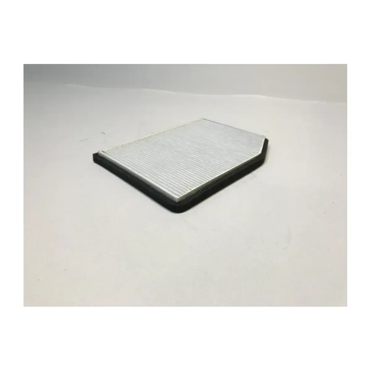 7700834816 POLEN FILTRESI LAGUNA I SARDES