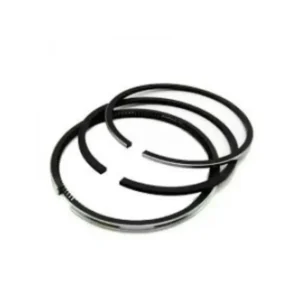 Segman Clio Megane 79,5 mm STD (K4M - 110 / 115 BG) 2002-2012 Arası 1.6 0610520050