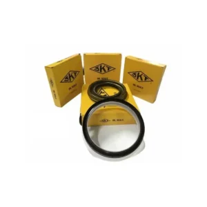 Aks Keçesi Arka R12 Toros 48 x 58 x 4 1971 ve Sonrası BM 0855599900-7703087057