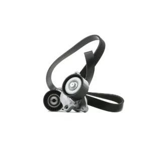 V Kayış Seti Master III APV3179 APV3178 7PK1673 2009 ve Sonrası 2.3 117200334R