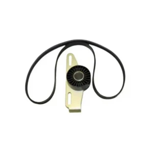 V Kayış Gergi Rulmanı Logan Lodgy Dokker Megane Symbol Clio Kango 1998 ve Sonrası 1.4 1.6 117201773R