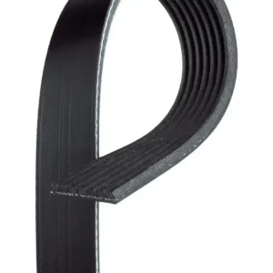 V Kayışı Megane IV 2015 ve Sonrası 1.6 117203168R