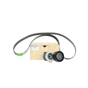 V Kayış Seti Clio V Megane IV Duster Kadjar 2017 ve Sonrası 1.5 dCi 115 117204246R