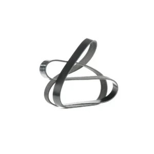 V Kayışı Fluence Megane III V Kayışı Kanallı Kayış 2007 ve Sonrası 1.6 117206599R