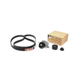 V Kayış Seti Master III 2009 ve Sonrası 2.3 dCi 117207736R