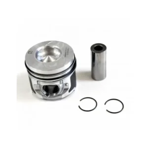 Piston ve Segman Megane III Scenic III 76 mm STD - 0,40 (EUR - 5 - 110 BG) 2013 ve Sonrası 1.5 dCi 120A13546R