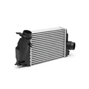 Turbo Radyatörü Megane IV Kadjar Intercooler 282x217x62 2015 ve Sonrası 1.5 dCi 14461-4EA0A