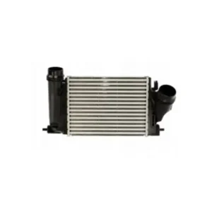 Turbo Radyatörü Megane IV Kadjar Intercooler 2015 ve Sonrası 1.5 144614EA0A
