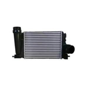 Turbo Radyatörü Megane IV Espace V 2015 ve Sonrası 1.6 2.0 Blue dCi 144614EB0A