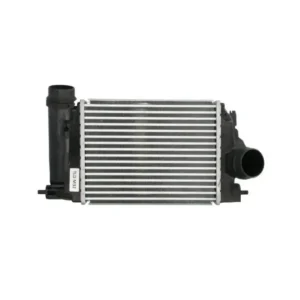 Turbo Radyatörü Kadjar Intercooler 2014 ve Sonrası 1.6 14461BD70A