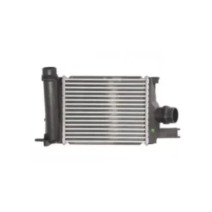 Turbo Radyatörü Clio IV Captur Dokker Duster Logan II Intercooler 2010 ve Sonrası 1.5 dCi 1.2 TCe 144966051R