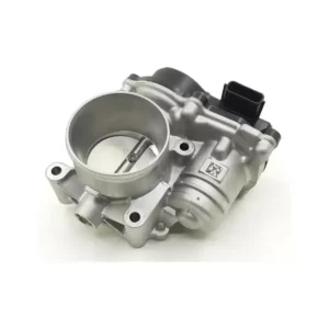 Gaz Kelebeği Duster 2015 ve Sonrası 1.6 161203393R