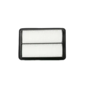 Hava Filtresi Kadjar 2014 ve Sonrası 1.2 1.5 1.6 dCi 16546-4BA1A