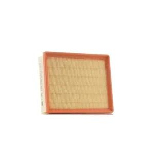 Hava Filtresi Trafic III 2014 ve Sonrası 1.6 dCi 165461783R