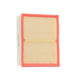 Hava Filtresi 2017 ve Sonrası 2.3 dCi 165464JA1B