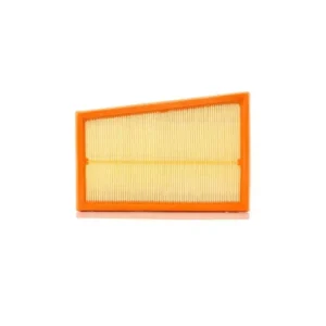 Hava Filtresi Koleos 2007 ve Sonrası 1.6 2.0 dCi 165466131R