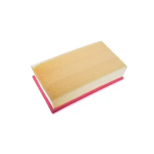 Hava Filtresi Espace V Talisman 2019 ve Sonrası 2.0 Blue 165466515R