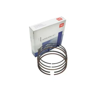 Segman Kango Trafic Megane Scenic Std (Standart) 80 mm F9Q 2009 ve Sonrası 1.9 4402574