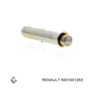 Triger Gergi Rulmanı Master 1995 ve Sonrası 2.5 5001001263