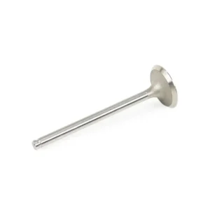 Supap Takımı Megane Laguna Kango Tek Tırnak 2002 ve Sonrası 1.9 7700110387