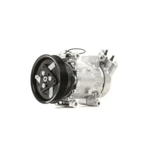 Klima Kompresörü Clio II Symbol Kango Megane I 1998 ve Sonrası BM 7700273801