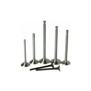 Supap Takımı R12 Toros 1970 ve Sonrası 1.3 7700560792