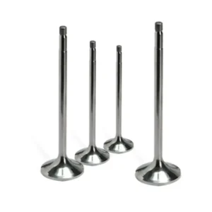 Supap Takımı R12 Toros 1971 ve Sonrası 1.4 7700682064