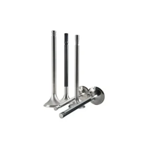 Supap Takımı R11 Flash 1988 ve Sonrası 1.7 7700713788