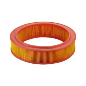 Hava Filtresi R9 Broadway R19 1981-1996 Arası 1.4 7700726615