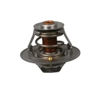 Termostat Master Trafic 79 °C 1998 ve Sonrası 2.5 2.8 7701042512