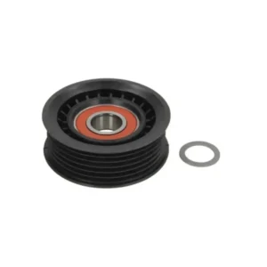 V Kayış Gergi Rulmanı Espace IV Avare Rulman 2002-2008 Arası 3.0 7701052775