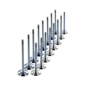 Supap Takımı R21 Tek Tırnak 1996 ve Sonrası 2.0 8V 7701460147-7701460148