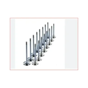 Supap Takımı Laguna F3P F3R 1997 ve Sonrası 1.8 8V 2.0 8V 7701466606