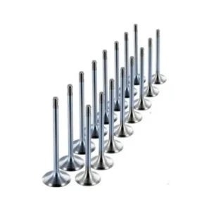 Supap Takımı Megane Clio R9 Broadway R19 Solenza K7M K4J 1997 ve Sonrası 1.4 7701468419-7701465090