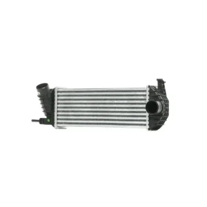Turbo Radyatörü Kango II Intercooler 385x143x62 1998-2004 Arası 1.5 dCi 8200382109