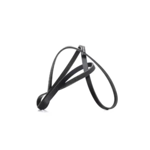 V Kayışı Clio Kango Logan 4PK 1538 2004 ve Sonrası 1.2 16V 8200830192