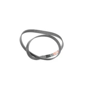 V Kayışı Clio Kango 5PK1195 V Kayış 2002 ve Sonrası 1.5 8200850092