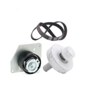 Triger Seti Megane III Scenic III 2008 ve Sonrası 1.9 dCi 8201038625