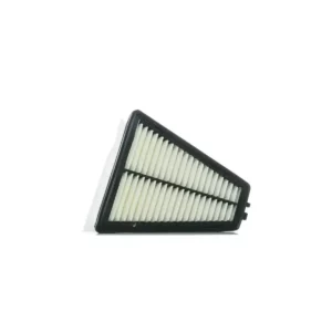 Hava Filtresi Twingo II 2010 ve Sonrası 1.5 dCi 8201069869