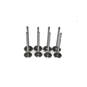 Supap Takımı Captur II Clio V Megane IV Duster II Sandero II Euro 6 2017 ve Sonrası 1.5 dCi 132018900R