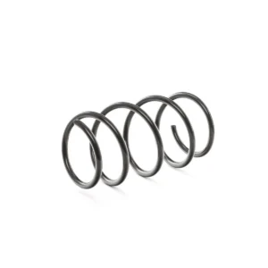 Helezon Yayı Ön Laguna III 2007 ve Sonrası BM 540100003R